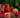 🎅How early do you start Christmas shopping l 2025